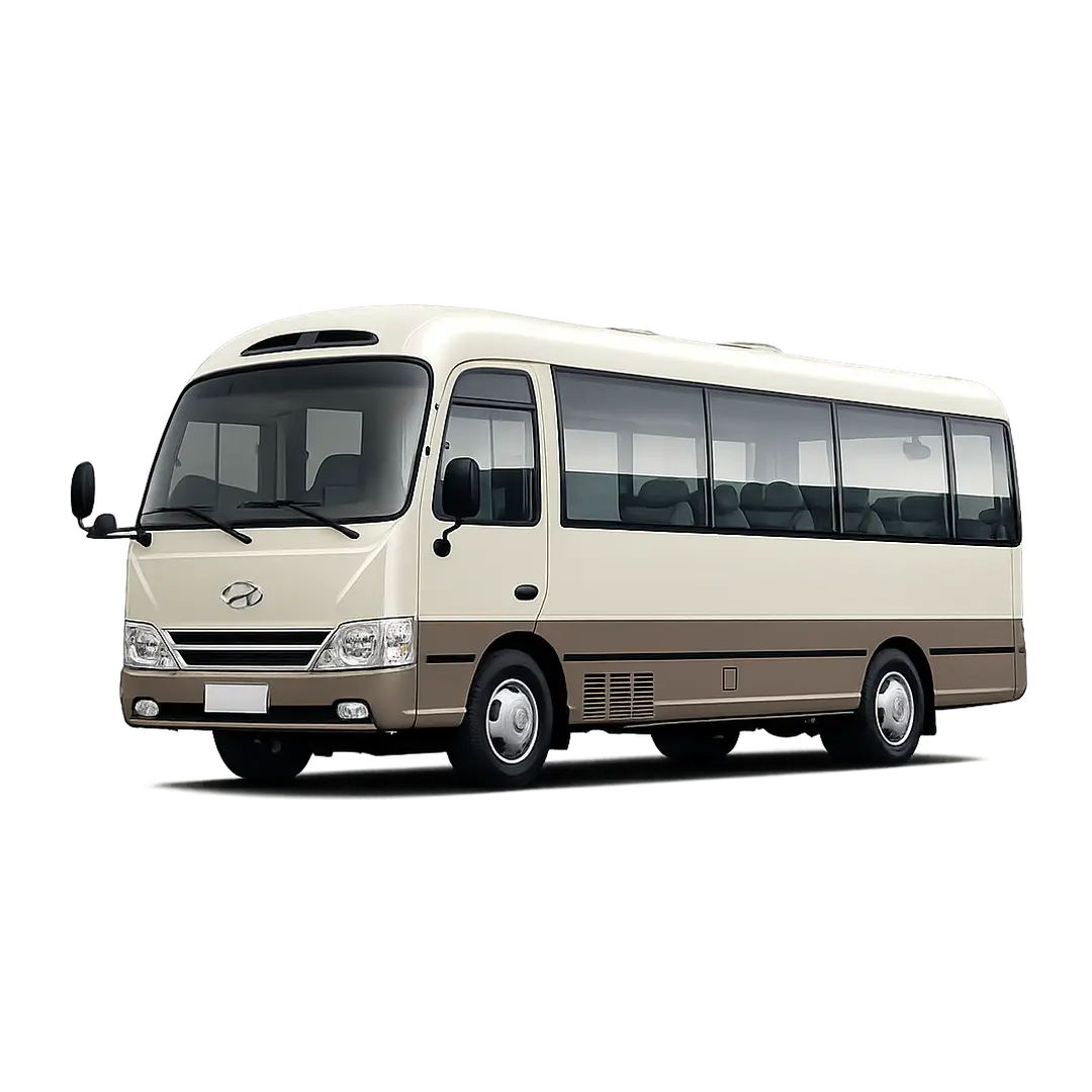 Hyundai/COUNTY2020